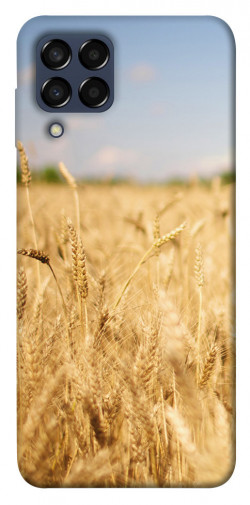 Чехол itsPrint Поле пшеницы для Samsung Galaxy M33 5G