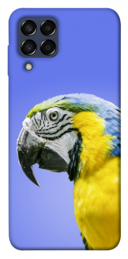Чехол itsPrint Попугай ара для Samsung Galaxy M33 5G
