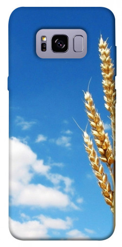 Чохол itsPrint Пшениця для Samsung G955 Galaxy S8 Plus
