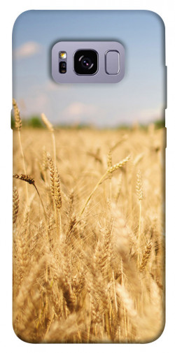 Чехол itsPrint Поле пшеницы для Samsung G955 Galaxy S8 Plus