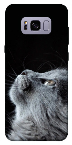 Чехол itsPrint Cute cat для Samsung G955 Galaxy S8 Plus