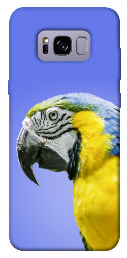 Чехол itsPrint Попугай ара для Samsung G955 Galaxy S8 Plus