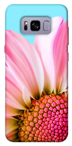 Чехол itsPrint Цветочные лепестки для Samsung G955 Galaxy S8 Plus
