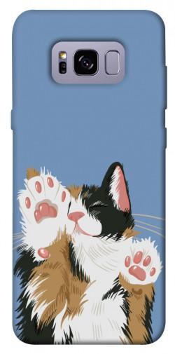 Чохол itsPrint Funny cat для Samsung G955 Galaxy S8 Plus