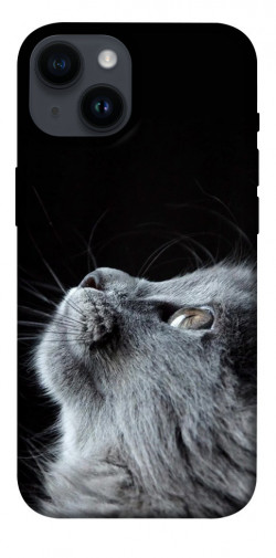 Чохол itsPrint Cute cat для Apple iPhone 14 (6.1")