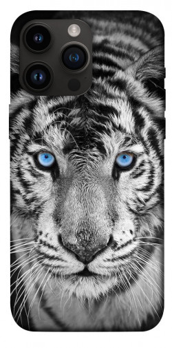 Чехол itsPrint Бенгальский тигр для Apple iPhone 14 Pro Max (6.7")