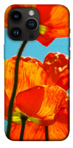 Чехол itsPrint Яркие маки для Apple iPhone 14 Pro Max (6.7")