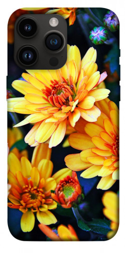 Чохол itsPrint Yellow petals для Apple iPhone 14 Pro Max (6.7")