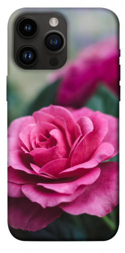 Чехол itsPrint Роза в саду для Apple iPhone 14 Pro Max (6.7")