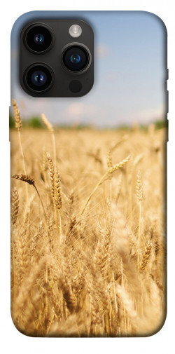 Чехол itsPrint Поле пшеницы для Apple iPhone 14 Pro Max (6.7")