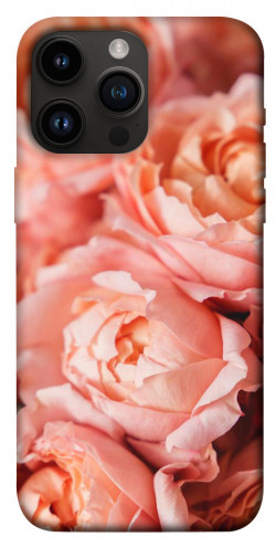 Чехол itsPrint Нежные розы для Apple iPhone 14 Pro Max (6.7")