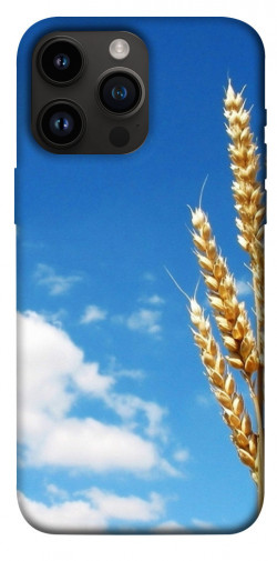 Чохол itsPrint Пшениця для Apple iPhone 14 Pro Max (6.7")