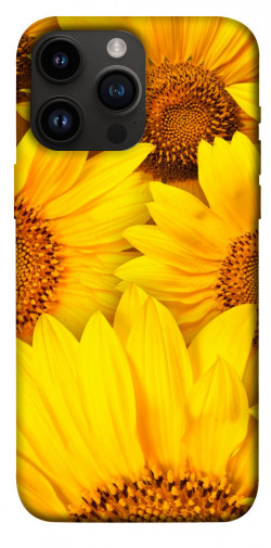 Чехол itsPrint Букет подсолнухов для Apple iPhone 14 Pro Max (6.7")