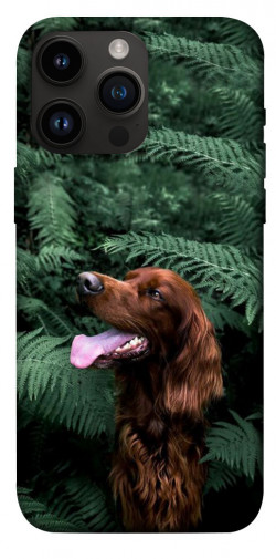 Чехол itsPrint Собака в зелени для Apple iPhone 14 Pro Max (6.7")
