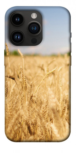 Чехол itsPrint Поле пшеницы для Apple iPhone 14 Pro (6.1")