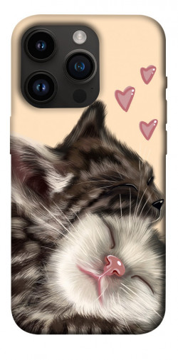 Чохол itsPrint Cats love для Apple iPhone 14 Pro (6.1")