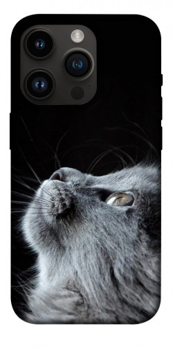 Чехол itsPrint Cute cat для Apple iPhone 14 Pro (6.1")