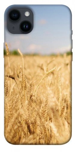 Чехол itsPrint Поле пшеницы для Apple iPhone 14 Plus (6.7")
