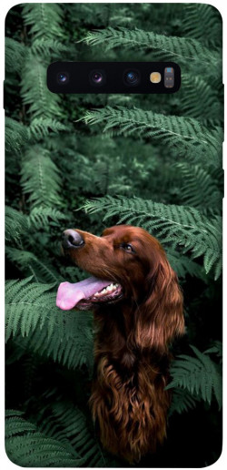 Чехол itsPrint Собака в зелени для Samsung Galaxy S10+