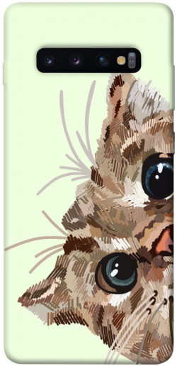 Чехол itsPrint Cat muzzle для Samsung Galaxy S10+