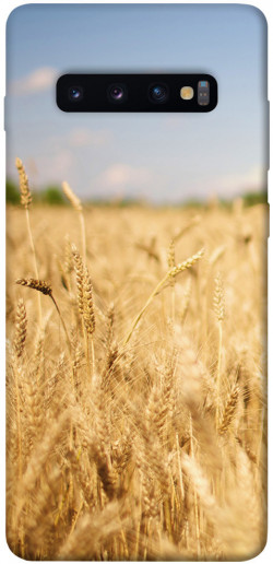 Чехол itsPrint Поле пшеницы для Samsung Galaxy S10+