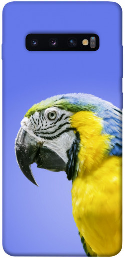Чехол itsPrint Попугай ара для Samsung Galaxy S10+