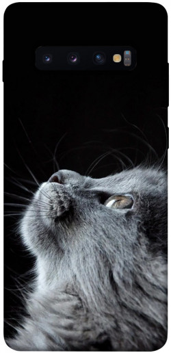 Чохол itsPrint Cute cat для Samsung Galaxy S10+