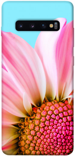 Чехол itsPrint Цветочные лепестки для Samsung Galaxy S10+