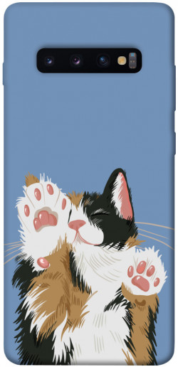 Чохол itsPrint Funny cat для Samsung Galaxy S10+