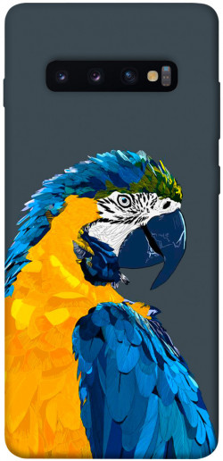 Чехол itsPrint Попугай для Samsung Galaxy S10+
