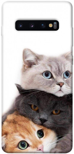Чехол itsPrint Три кота для Samsung Galaxy S10+