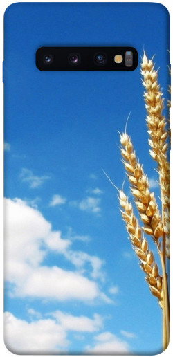 Чохол itsPrint Пшениця для Samsung Galaxy S10+