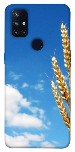 Чехол itsPrint Пшеница для OnePlus Nord N10 5G