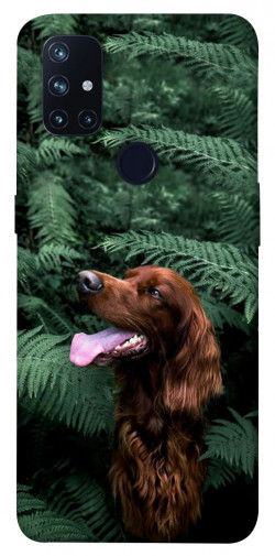 Чехол itsPrint Собака в зелени для OnePlus Nord N10 5G