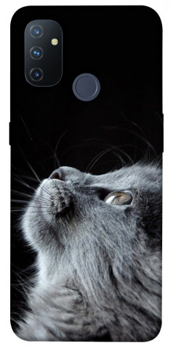 Чохол itsPrint Cute cat для OnePlus Nord N100