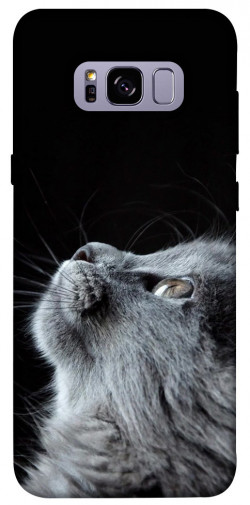 Чехол itsPrint Cute cat для Samsung G955 Galaxy S8 Plus