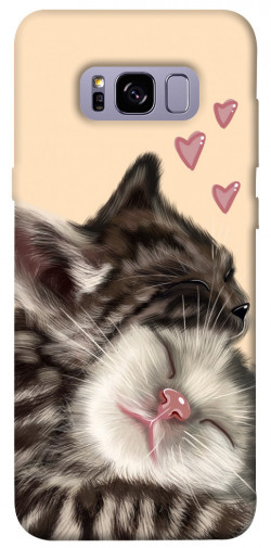 Чехол itsPrint Cats love для Samsung G955 Galaxy S8 Plus