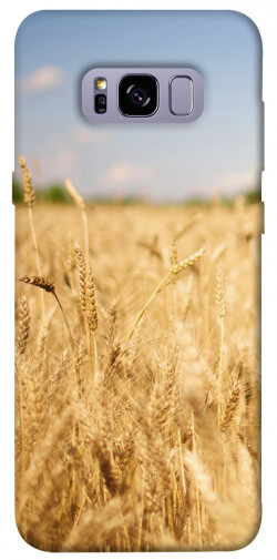 Чехол itsPrint Поле пшеницы для Samsung G955 Galaxy S8 Plus