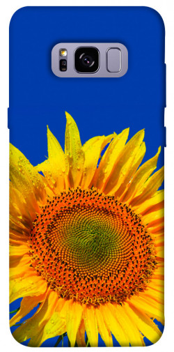 Чохол itsPrint Sunflower для Samsung G955 Galaxy S8 Plus