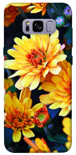 Чохол itsPrint Yellow petals для Samsung G955 Galaxy S8 Plus