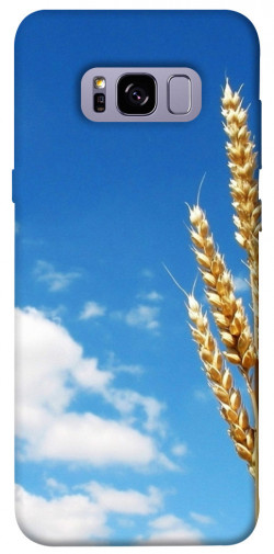 Чохол itsPrint Пшениця для Samsung G955 Galaxy S8 Plus