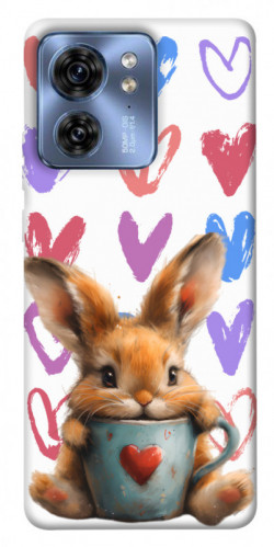 Чехол itsPrint Animals love 1 для Motorola Edge 40