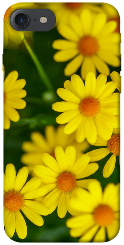 Чехол itsPrint Yellow chamomiles для Apple iPhone 7 / 8 (4.7")