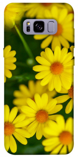 Чехол itsPrint Yellow chamomiles для Samsung G955 Galaxy S8 Plus