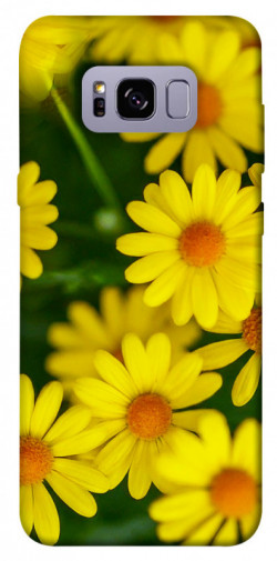 Чохол itsPrint Yellow chamomiles для Samsung G955 Galaxy S8 Plus
