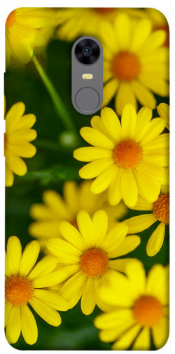 Чохол itsPrint Yellow chamomiles для Xiaomi Redmi 5 Plus / Redmi Note 5 (Single Camera)