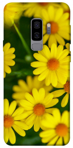Чехол itsPrint Yellow chamomiles для Samsung Galaxy S9+
