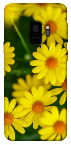 Чехол itsPrint Yellow chamomiles для Samsung Galaxy S9