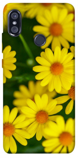 Чохол itsPrint Yellow chamomiles для Xiaomi Redmi Note 5 Pro / Note 5 (AI Dual Camera)