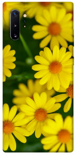 Чохол itsPrint Yellow chamomiles для Samsung Galaxy Note 10 Plus